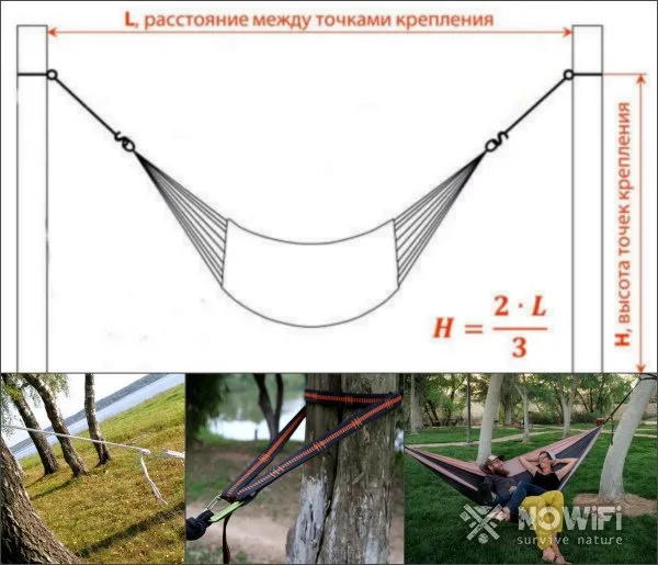 на дереве