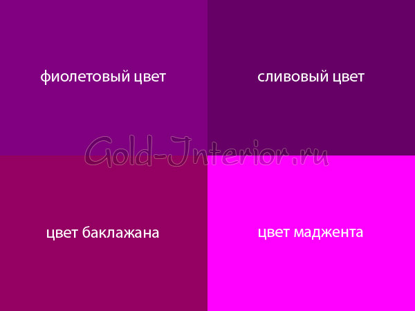 Волшебный и уникальный фиолетовый цвет Волшебный и уникальный фиолетовый цвет