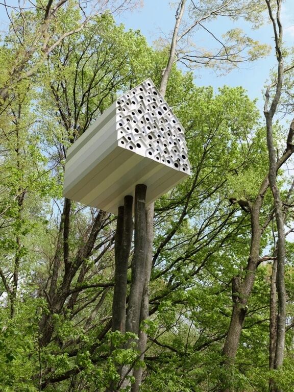 Мечты взрослых детей: самые безумные Мечты взрослых детей: самые безумные
