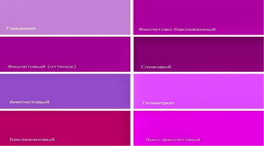 Фиолетовые цвета