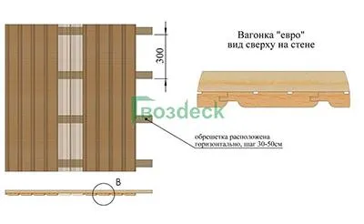 Вагонка Евро, вид сверху на стене