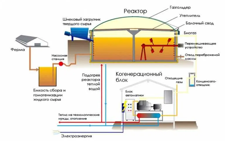 Как можно организовать переработку навоза в биогаз