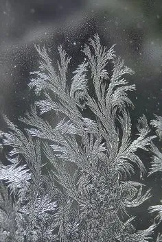 Nature Beauty, Amazing Nature, Nature Art, Winter Snow, Winter Time, Winter Frost, Winter Plaid