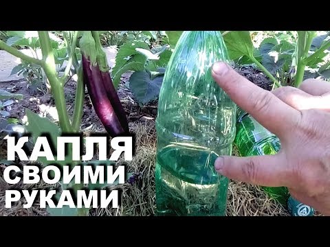 Капельный полив из пластиковых бутылок