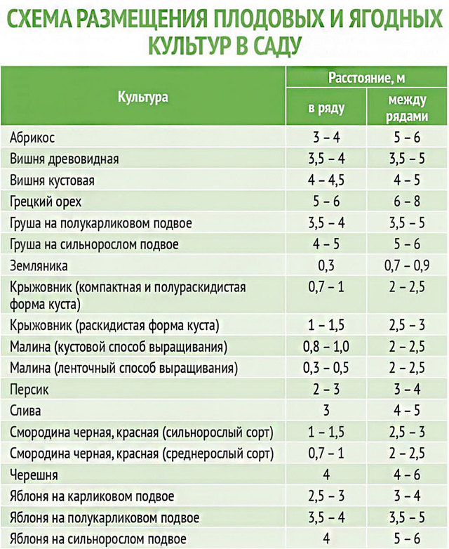 Минимальное расстояние от границ