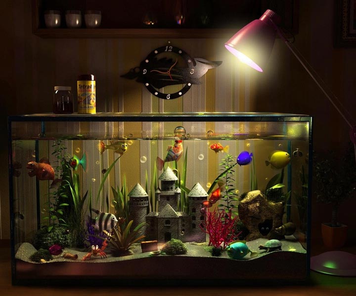 Время освещения аквариума - 3 правила