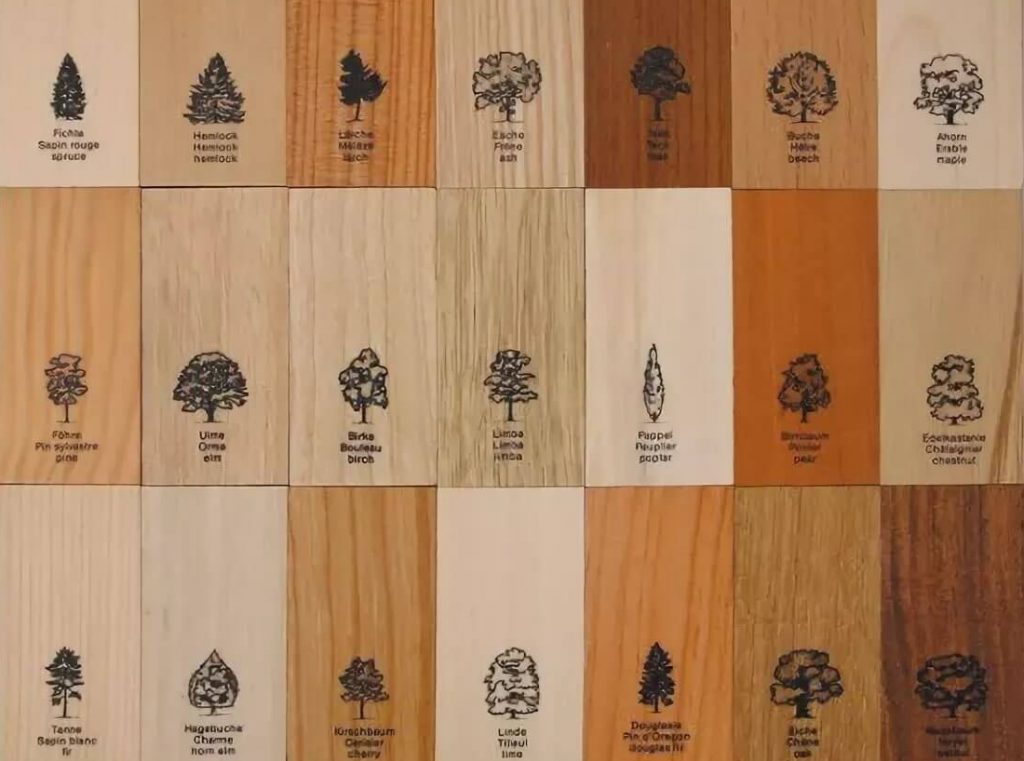 Виды и свойства пород древесины