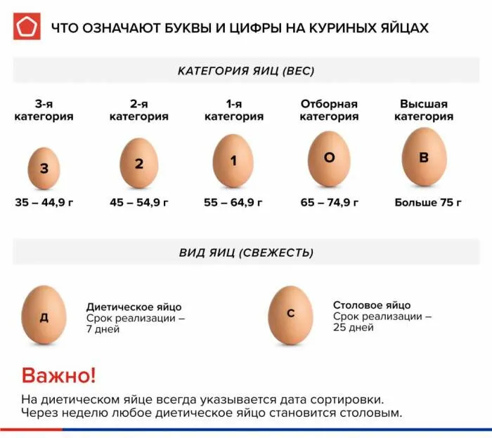 Все яйца, реализуемые в магазинах, имеют маркировку в виде букв «Д» и «С», а также цифр / Фото: rskrf.ru
