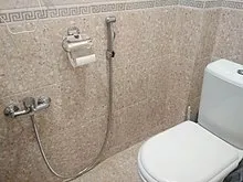 Bidet shower greek style.jpg