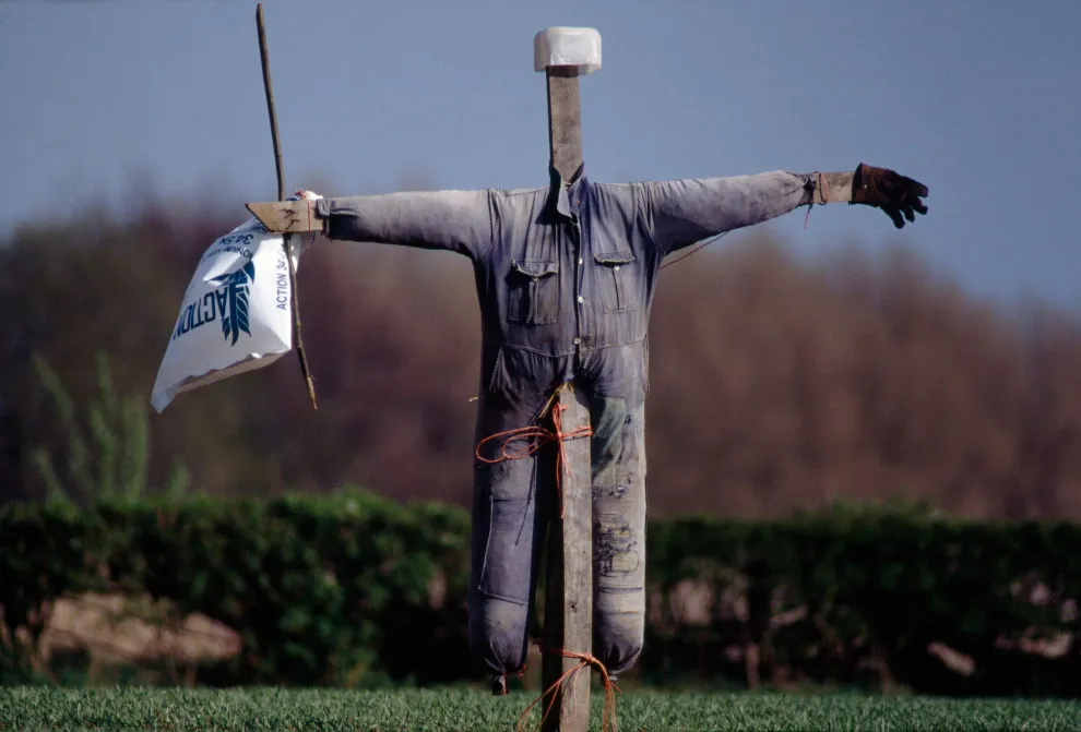 Пугала Пугала