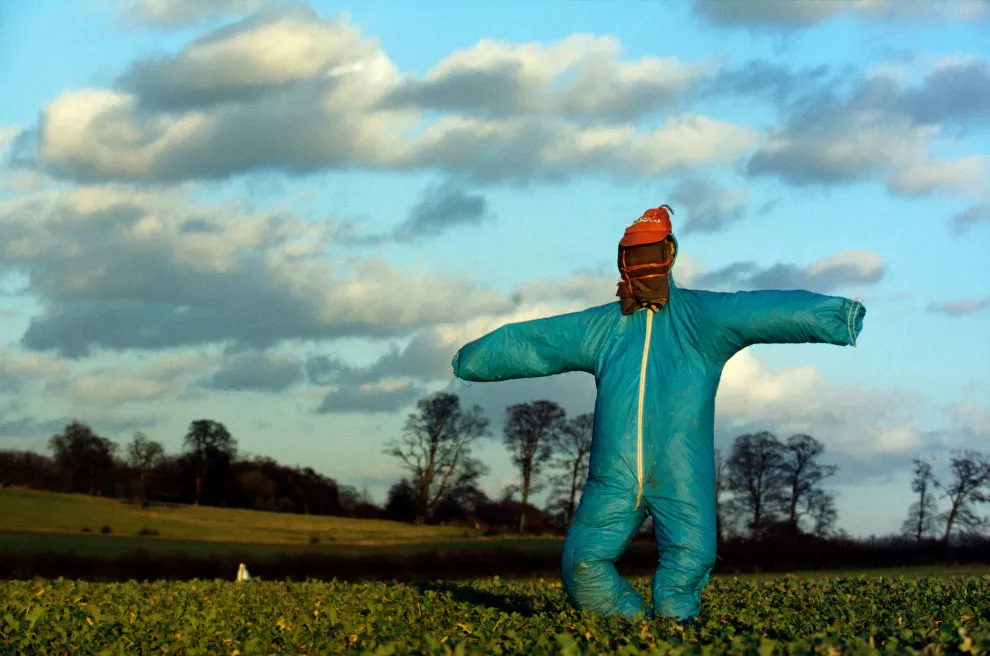 Пугала Пугала