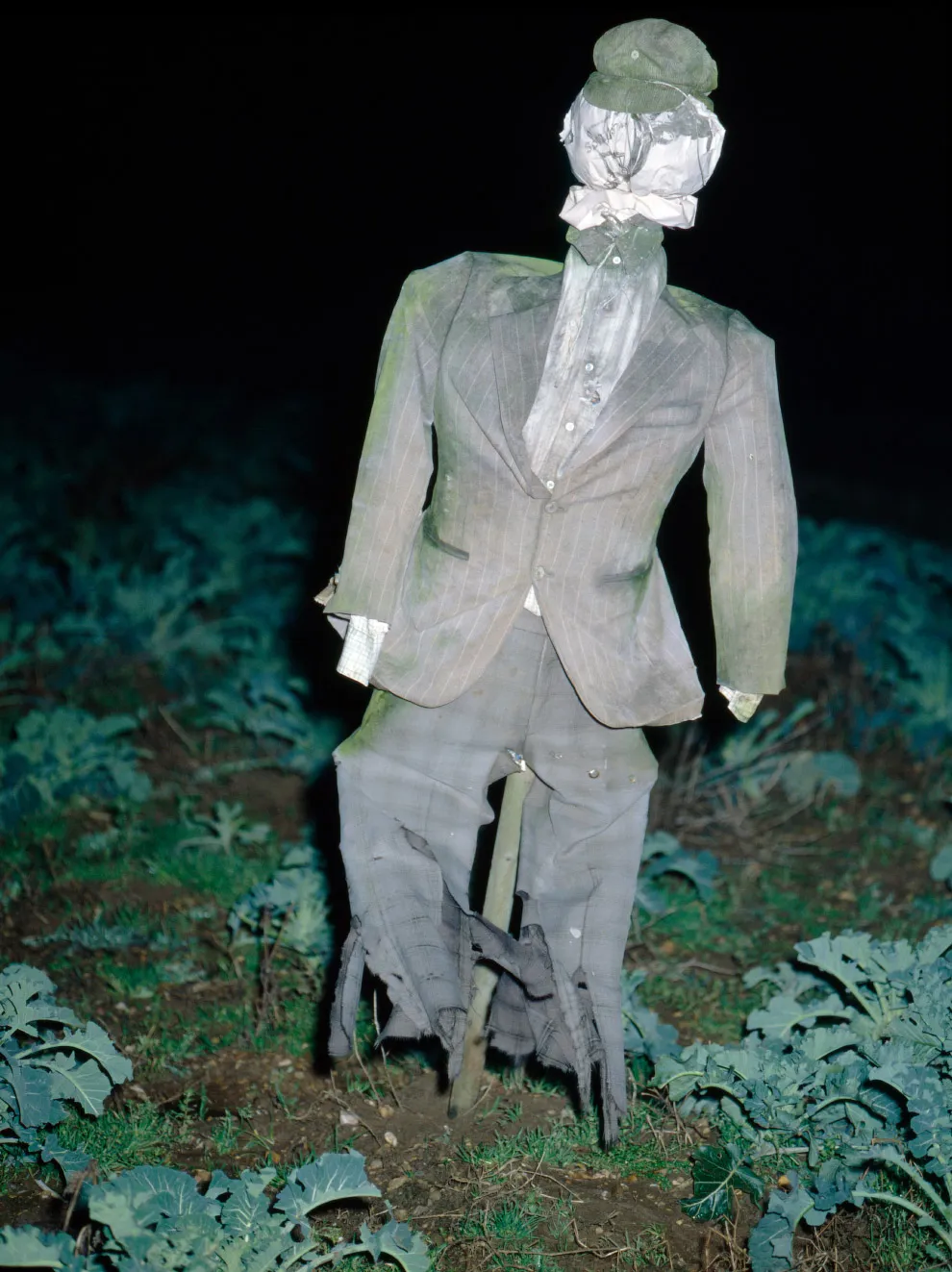 Пугала Пугала