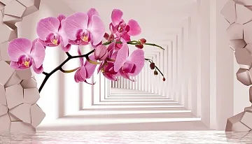 Фотообои 3D Розовая орхидея и тоннель