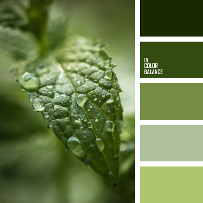 IN COLOR BALANCE | Подбор цвета IN COLOR BALANCE | Подбор цвета