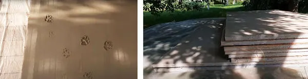 Кот не мог не отметиться на новой технологие. Стеновые блоки подсохли и готовы к установке. Фото с канала: Песни Яши Косяка