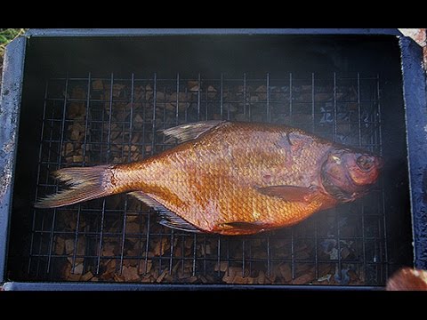 Самодельная Коптильня для Рыбы Своими Самодельная Коптильня для Рыбы Своими