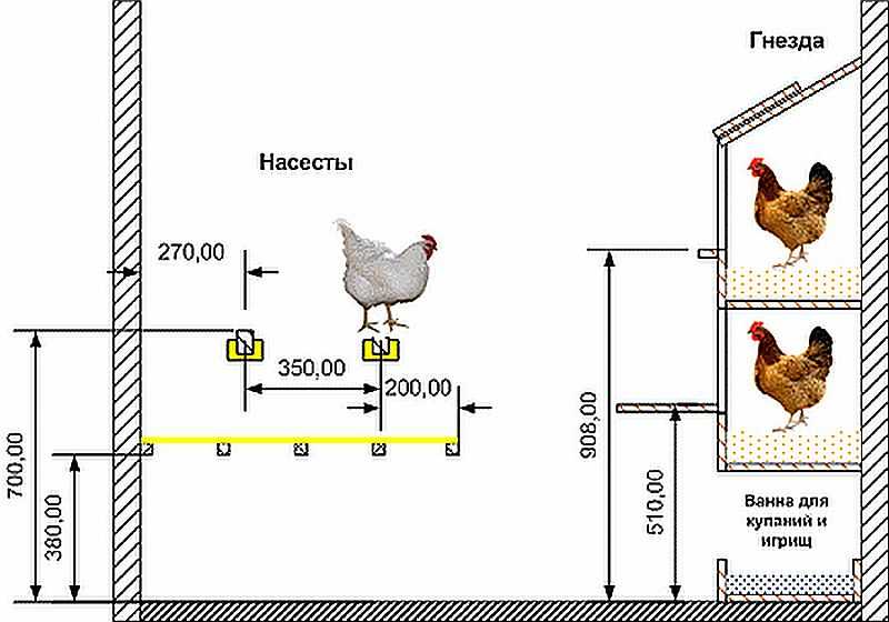 Обустройство курятника своими руками Обустройство курятника своими руками