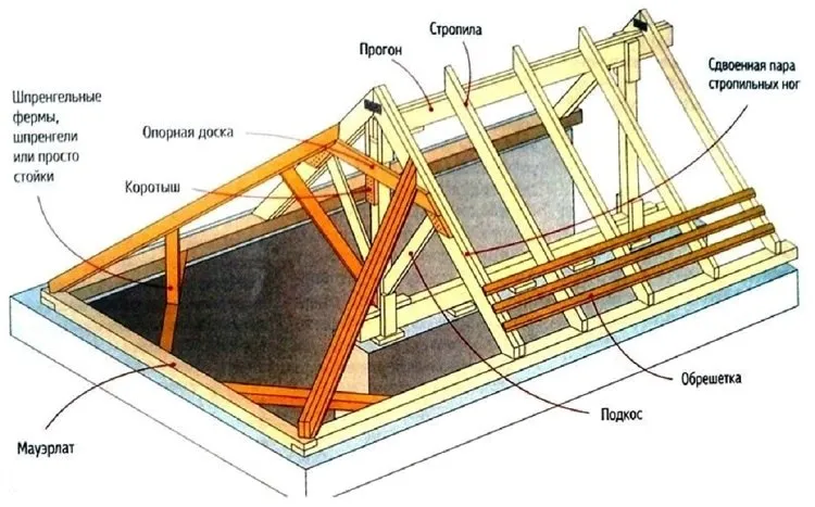 foto36265 17