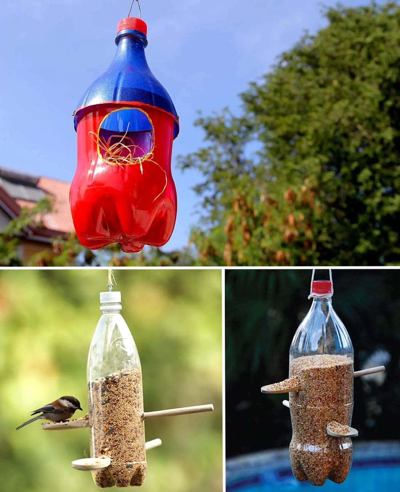 Пластиковую бутылку можно использовать в качестве скворечника и кормушки для птиц