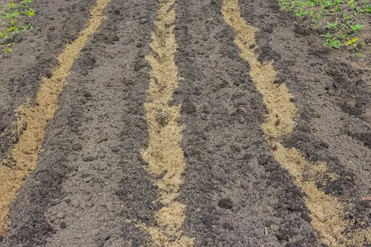 Готовим грядки осенью под кабачки 