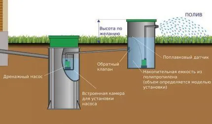 Схема септика со сборос воды в колодец для полива Использование очищенной воды в поливе