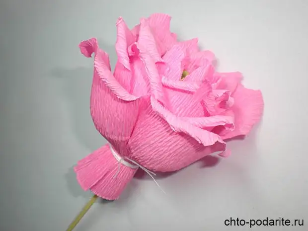 Выворачиваем края лепестков розы из бумаги наружу