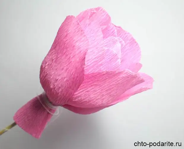Расправляем лепестки розы из бумаги