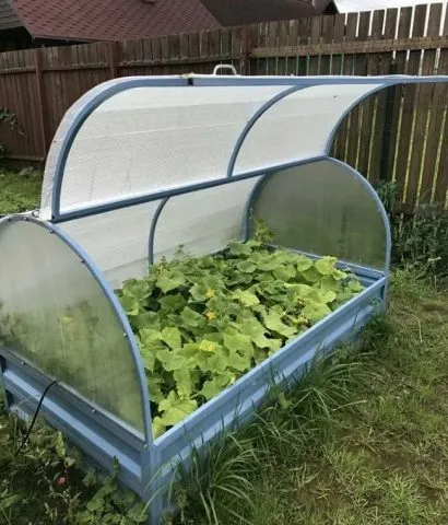 Теплица хлебница из поликарбоната своими руками: чертежи, размеры