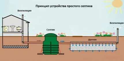 Схема устройства септика-отстойника с инфильтратором Расположение септика