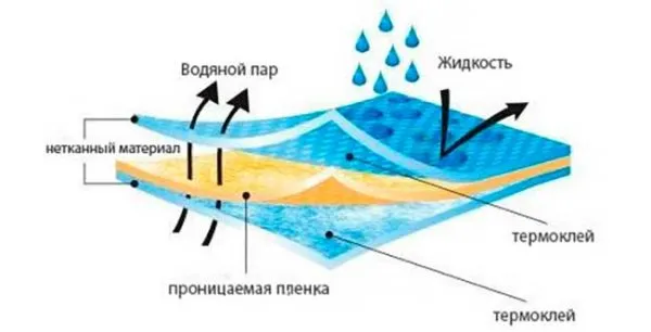 Структура строительной мембраны