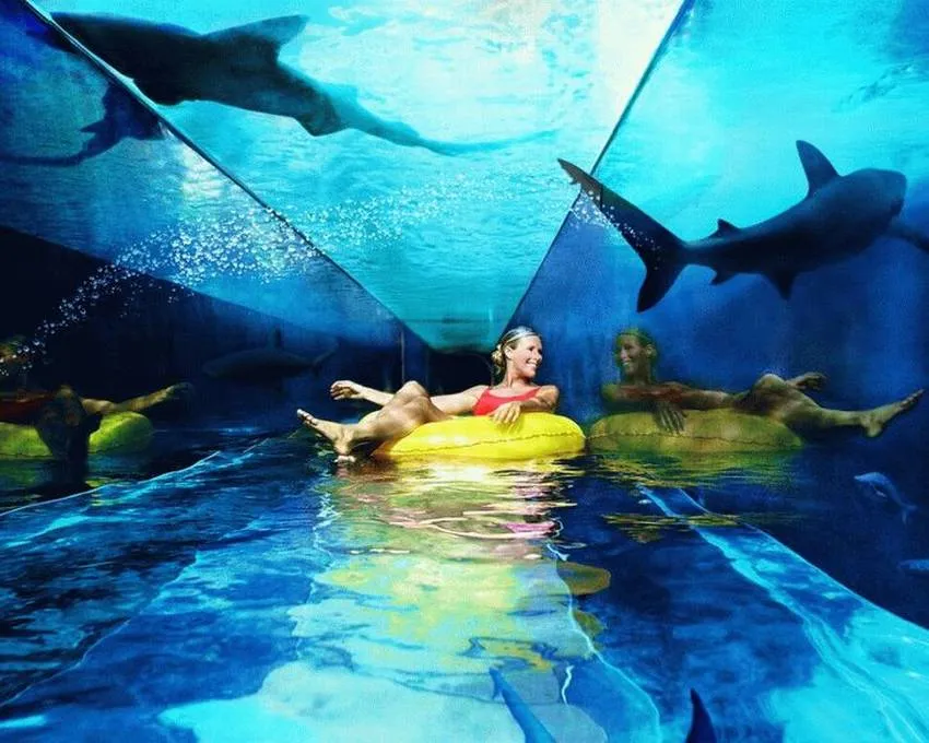 бассейн с акулами