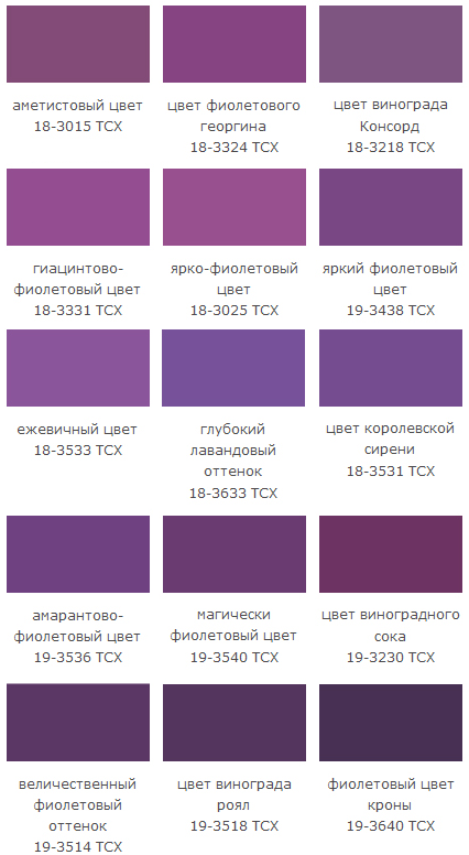 Красно-фиолетовый цвет и сочетание сним