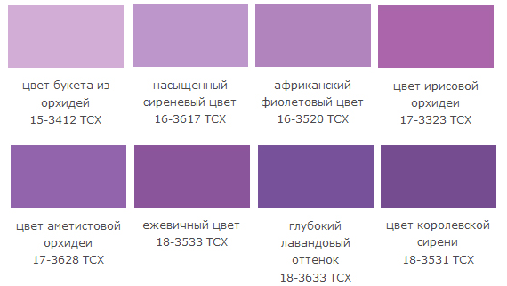 Аметистовый цвет и его сочетание