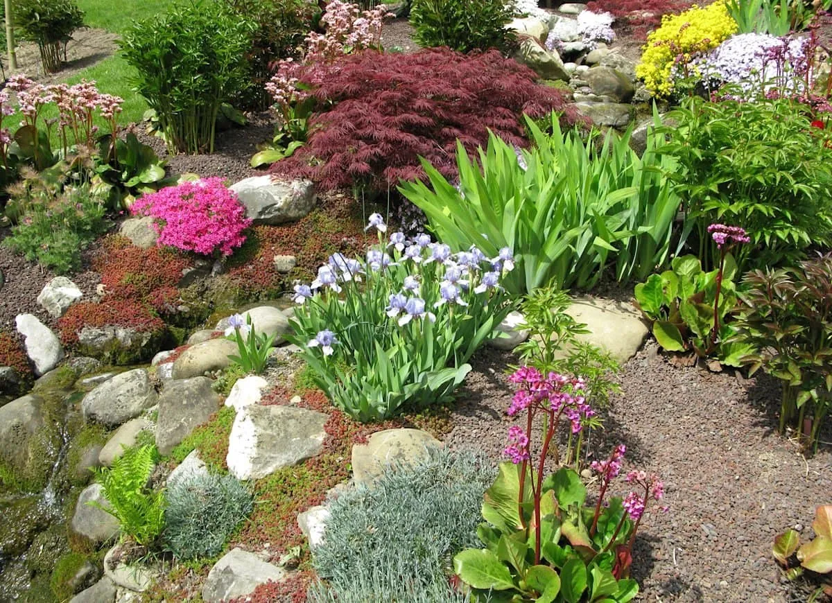 Небольшая возвышенность – идеальное место для размещения альпийской лужайки в саду