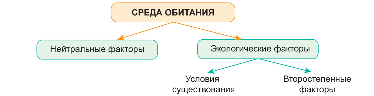 2. Понятие о среде обитания и об