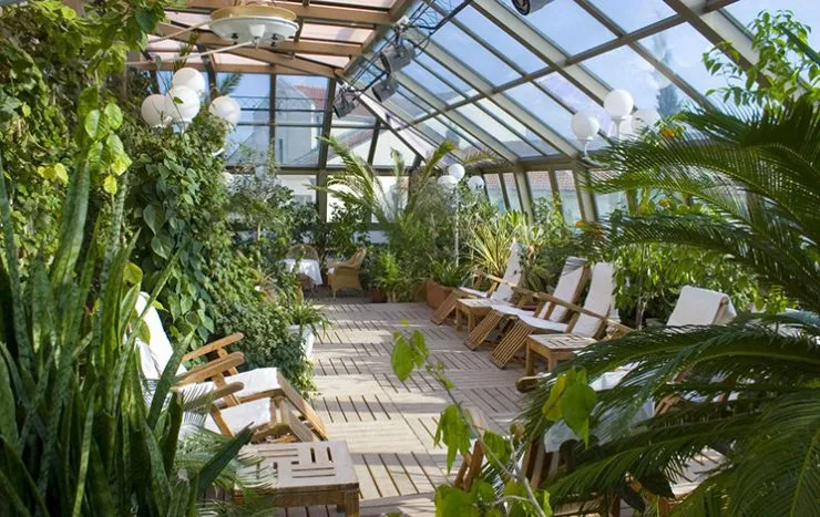 Зимний сад интенсивного типа с зоной отдыха