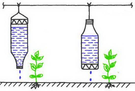 Капельный полив из пластиковых бутылок