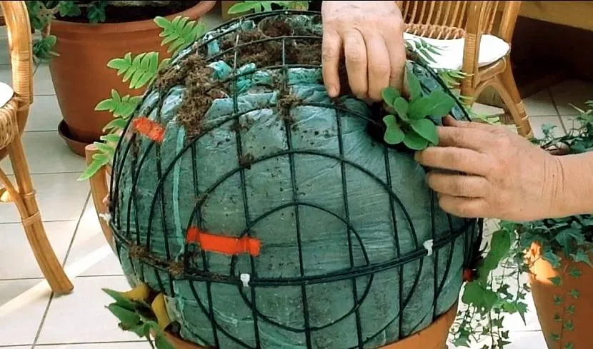 каскадная клумба