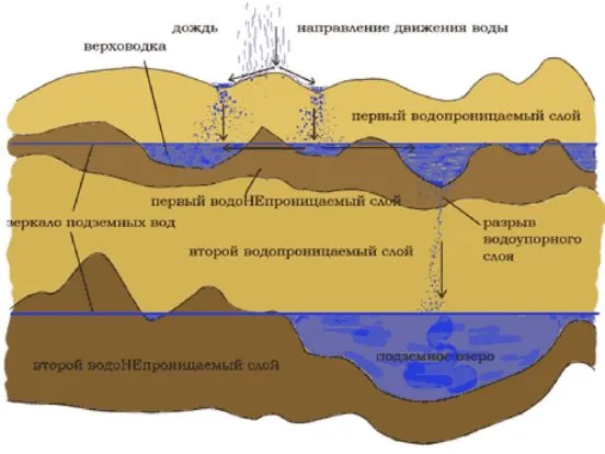 Схема проницаемой сверху почвы