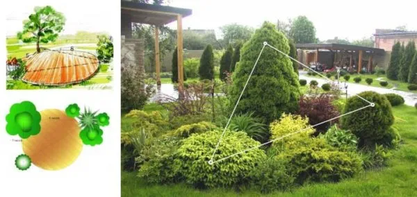 Золотое сечение: правило треугольника в садовом дизайне 