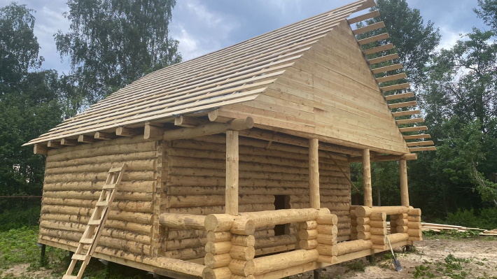 Из какого дерева лучше строить баню Из какого дерева лучше строить баню
