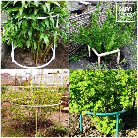 Подпорки для веток деревьев и кустов Подпорки для веток деревьев и кустов