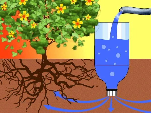 Капельный полив экономит количество жидкости и позволяет ей поступать прямо к корням
