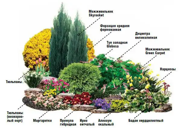 Shema-cvetnika-iz-pervocetov