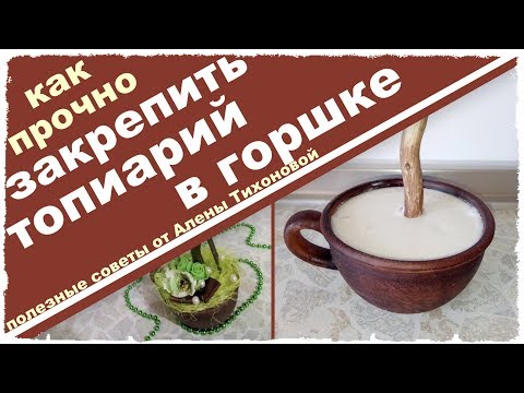 КАК ЗАКРЕПИТЬ ТОПИАРИЙ в ГОРШКЕ — без КАК ЗАКРЕПИТЬ ТОПИАРИЙ в ГОРШКЕ — без