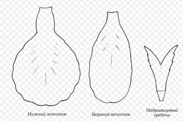 Выкройка лепестков ириса