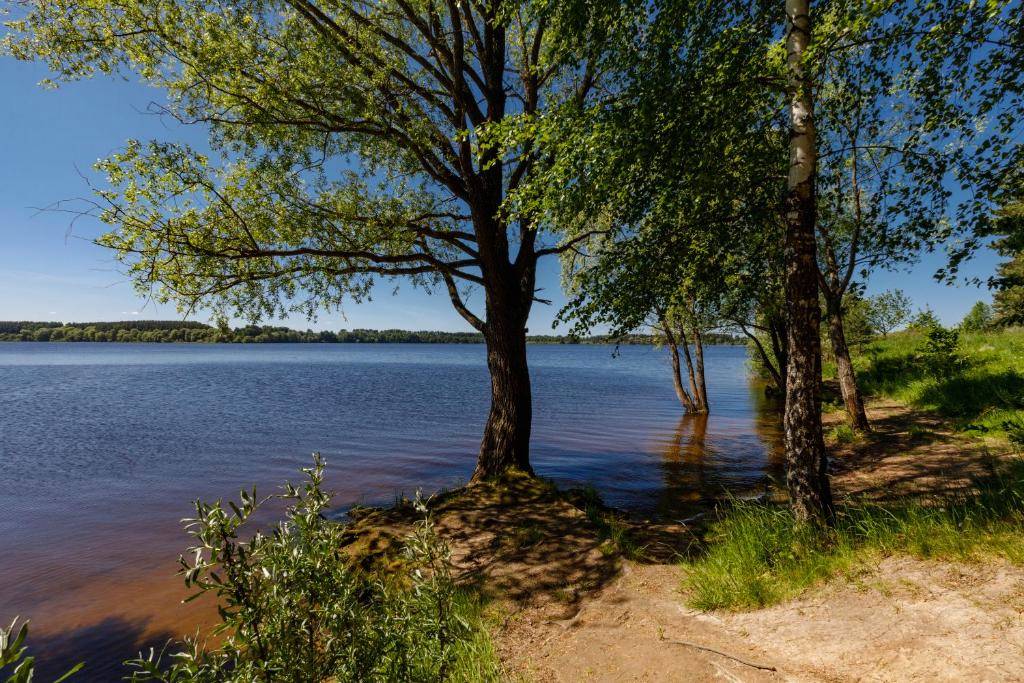 Где лучше купить дачу в Подмосковье &#55356&#57286 и