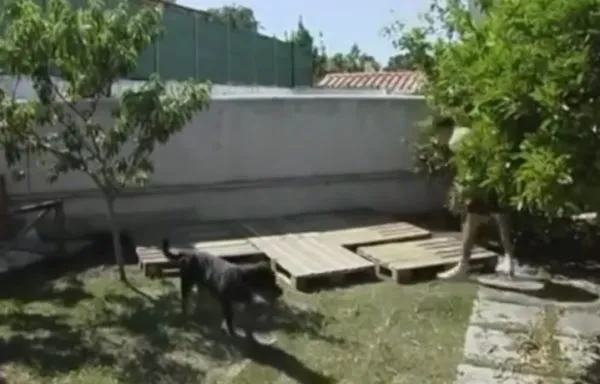 готовое основание готовое основание