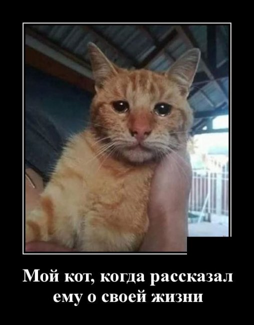 Демотиваторы сегодня для потрясного Демотиваторы сегодня для потрясного