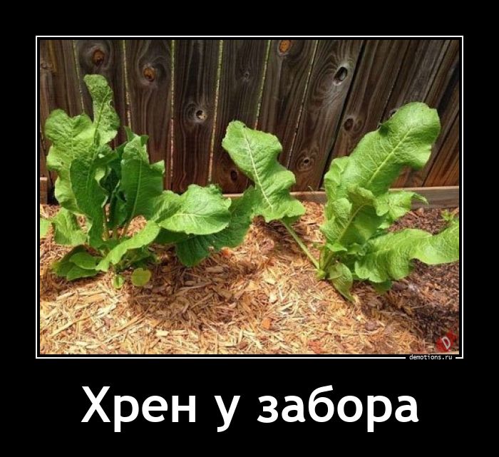 Demotions.ru - ДЕМОТИВАТОРЫ. Demotions.ru - ДЕМОТИВАТОРЫ.